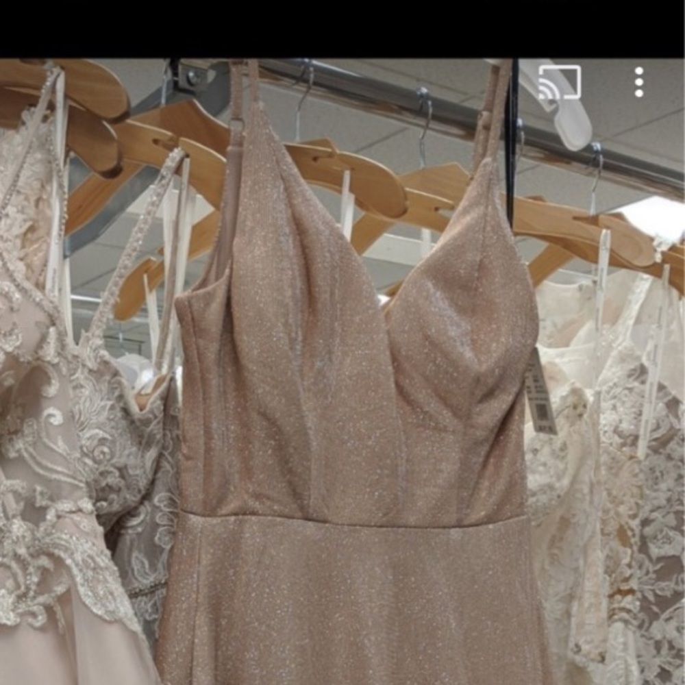 David’s Bridal Bridesmaid Dress